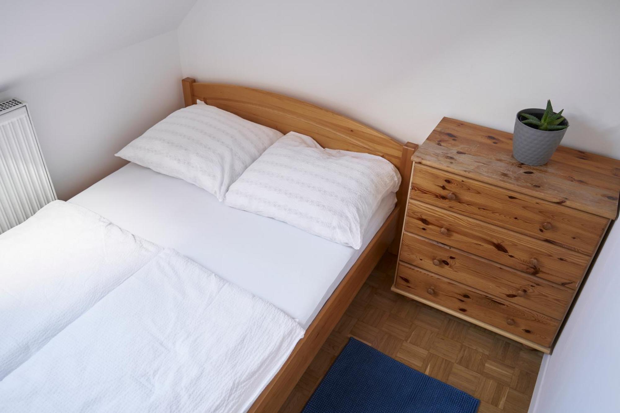 Ljubljana City Dragon Apartment מראה חיצוני תמונה
